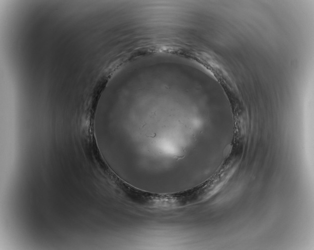 X0000093750415200710161201