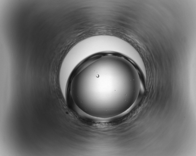 X0000093750417200710161201