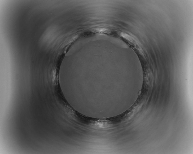 X0000093750420200710161201