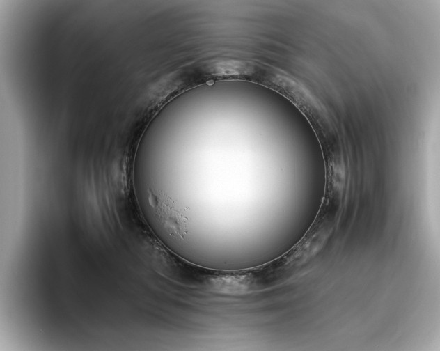 X0000093750422200710161201