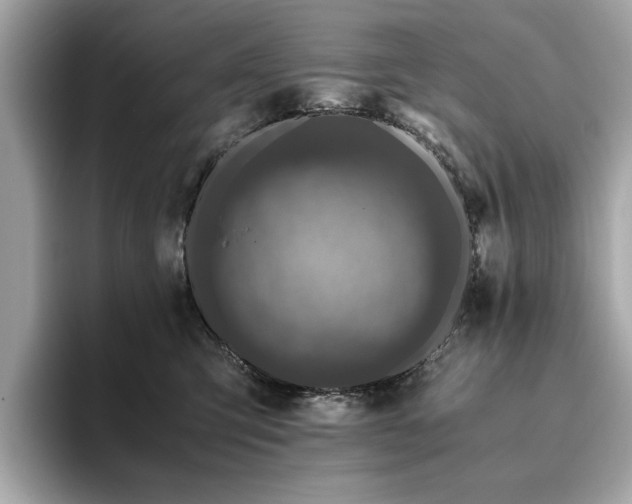 X0000093750423200710161201