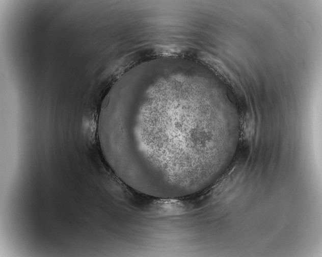 X0000093750427200710161201
