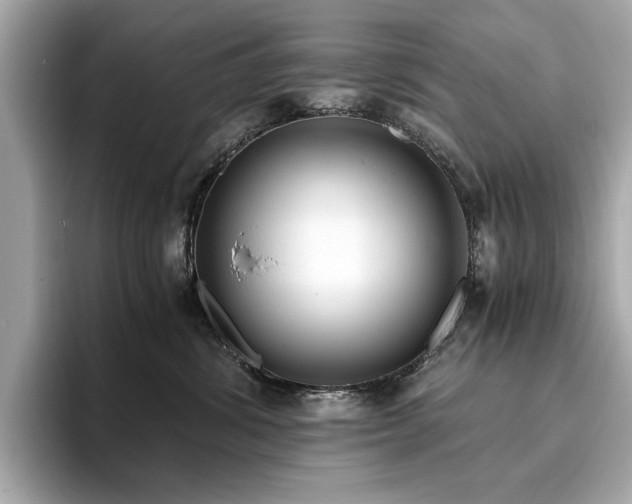X0000093750428200710161201