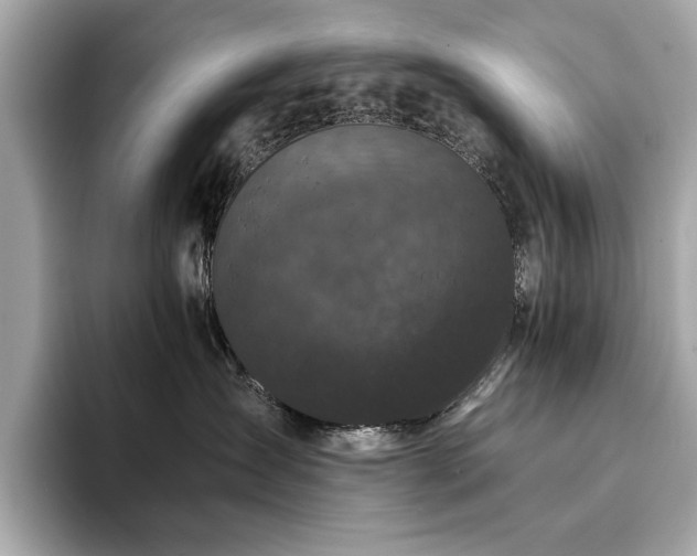 X0000093750431200710161201