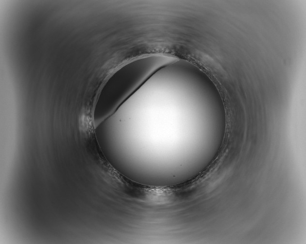 X0000093750432200710161201