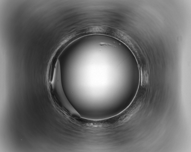 X0000093750435200710161200