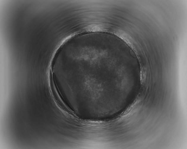 X0000093750438200710161200