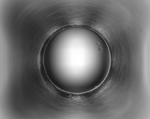 X0000093750439200710161200