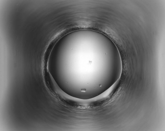 X0000093750440200710161200