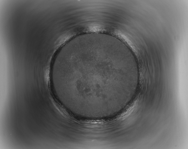 X0000093750443200710161200