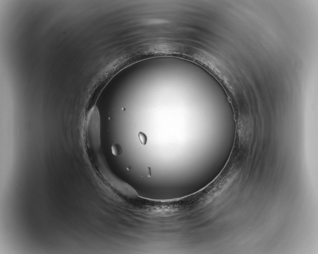 X0000093750445200710161200