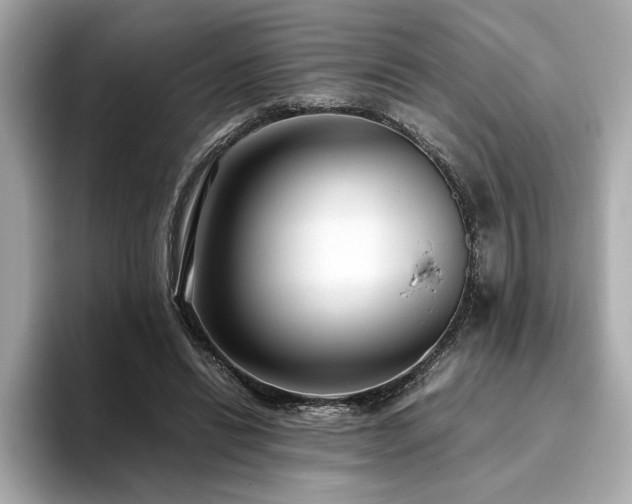 X0000093750446200710161200