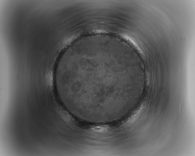 X0000093750447200710161200