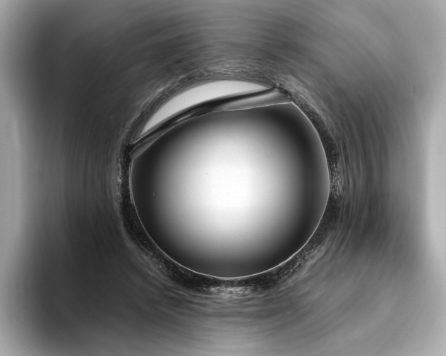 X0000093750448200710161200