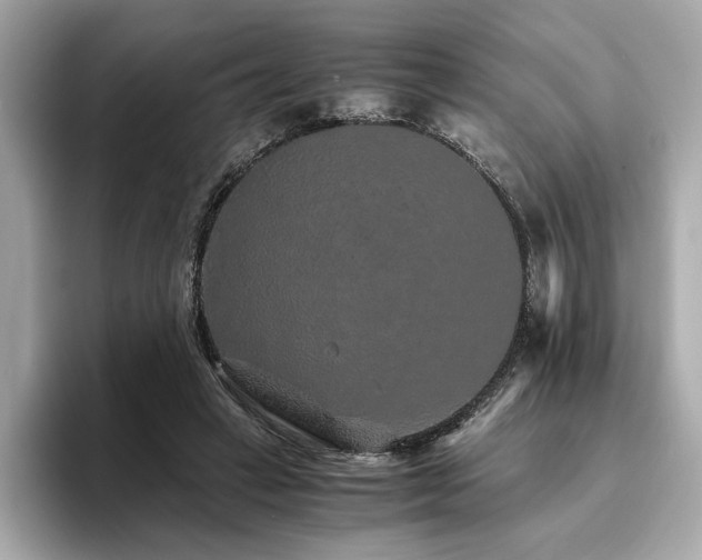 X0000093750449200710161200