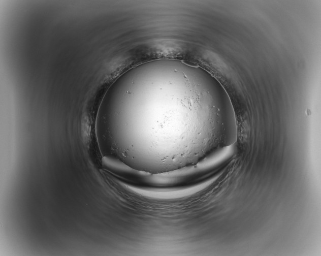 X0000093750456200710161200