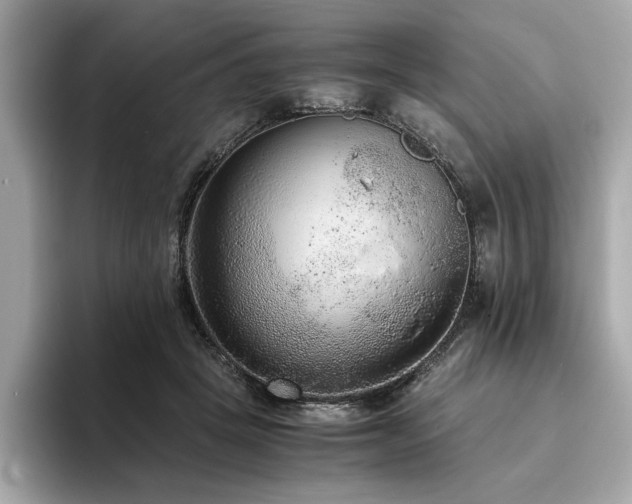 X0000093750457200710161200