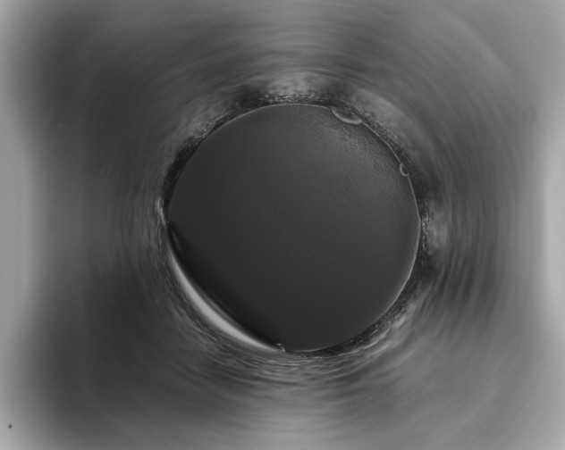 X0000093750458200710161200