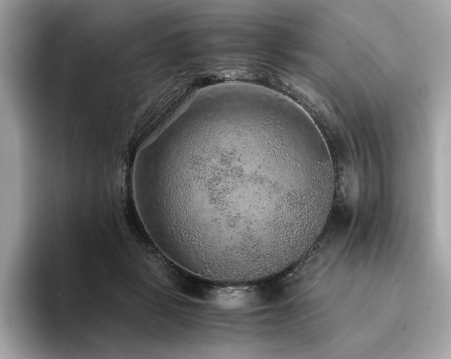 X0000093750461200710161200