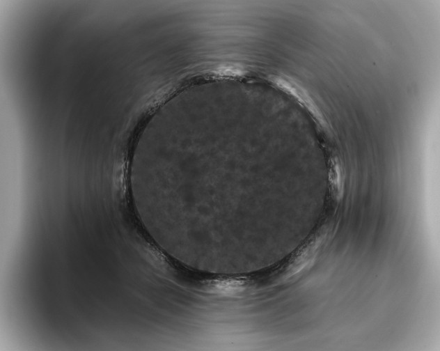 X0000093750462200710161200