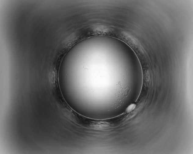 X0000093750463200710161200