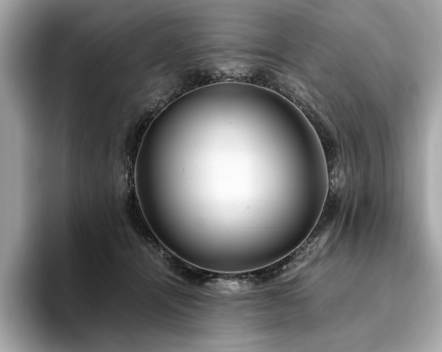 X0000093750464200710161200