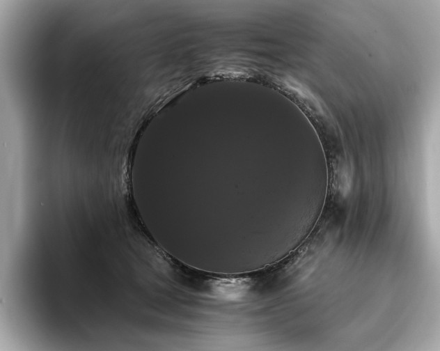 X0000093750465200710161200