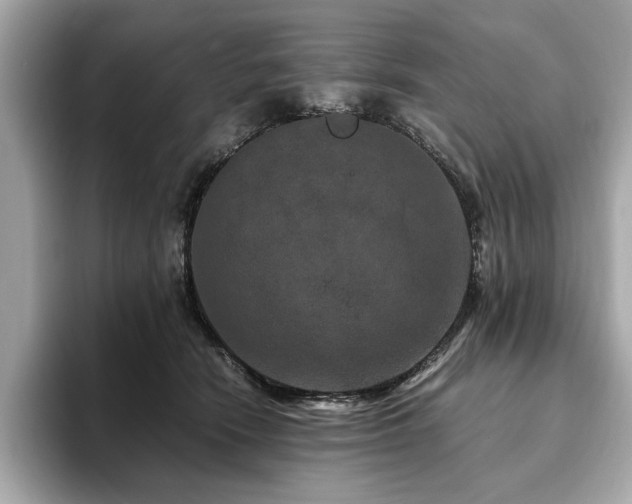 X0000093750466200710161200