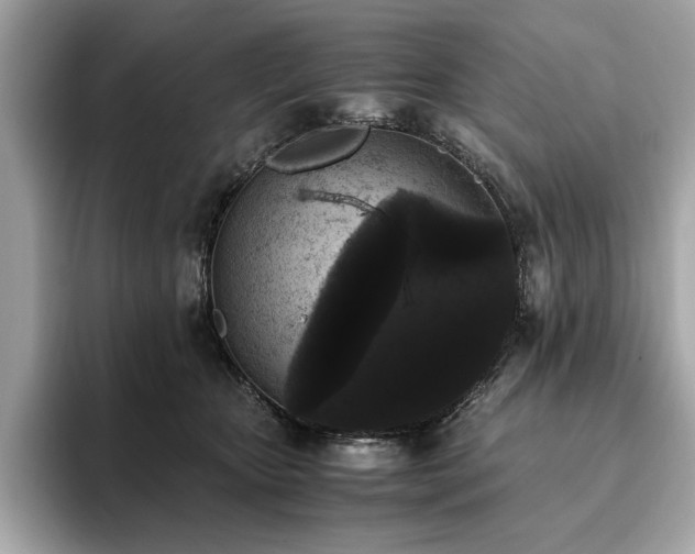 X0000093750467200710161200