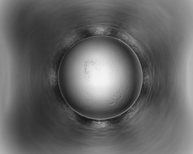 X0000093750469200710161201