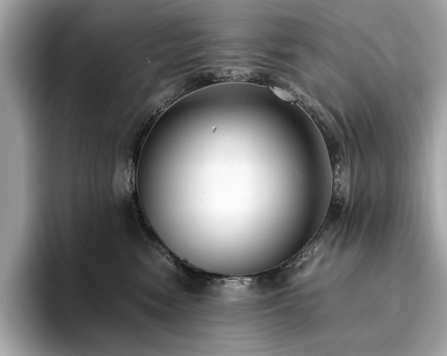 X0000093750474200710161201
