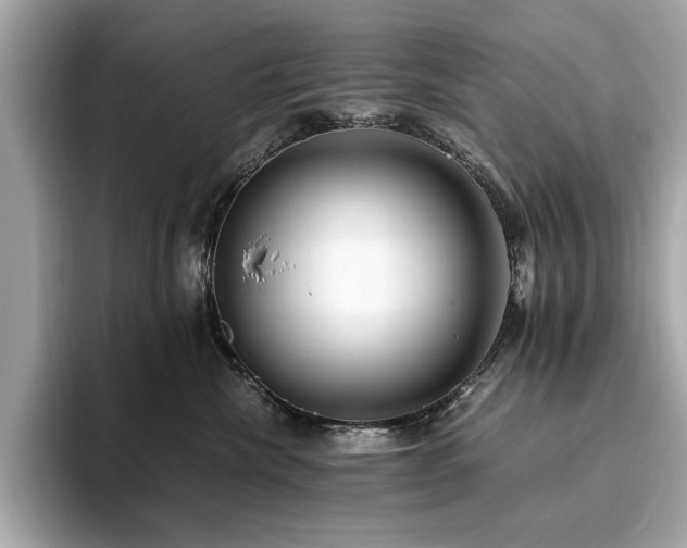 X0000093750476200710161201