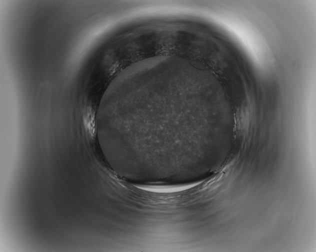 X0000093750479200710161201