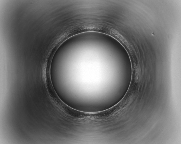 X0000093750482200710161200
