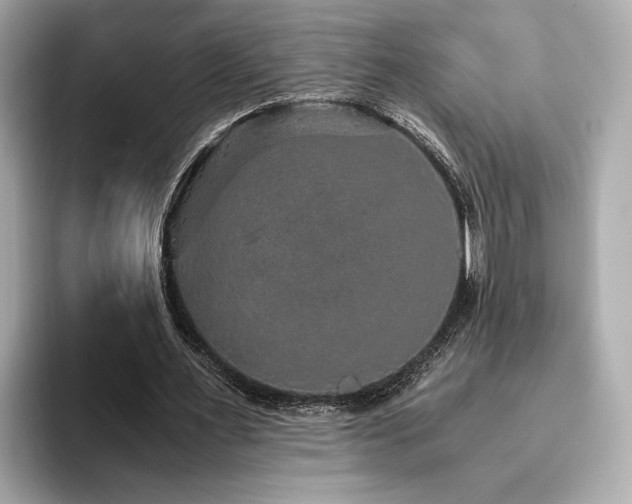 X0000093750483200710161200