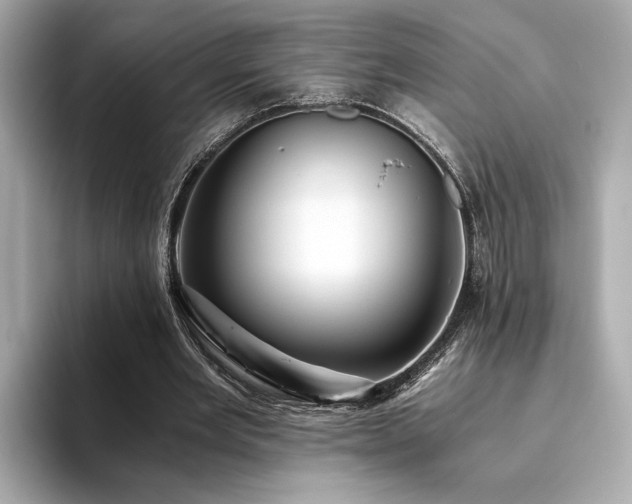 X0000093750485200710161200
