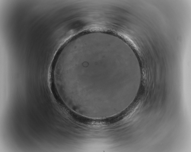 X0000093750487200710161200