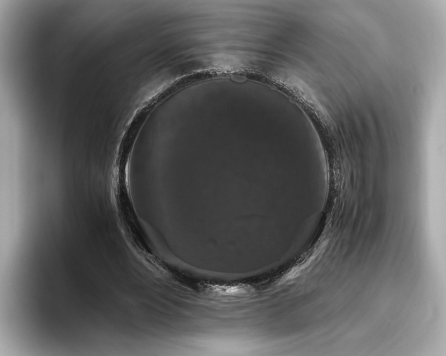 X0000093750488200710161200