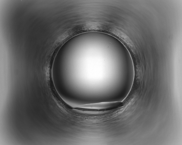 X0000093750489200710161200