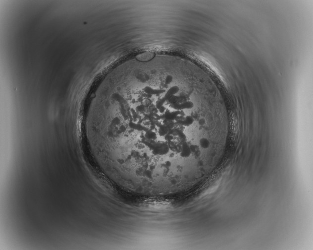 X0000093750491200710161200