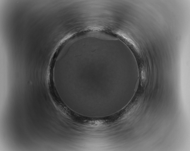 X0000093750492200710161200