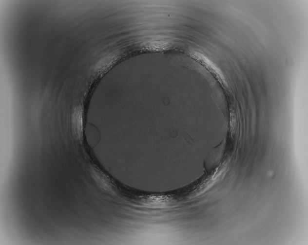 X0000093750493200710161200