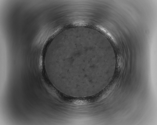 X0000093750494200710161200