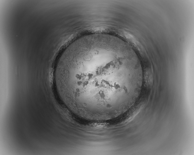 X0000093750495200710161200