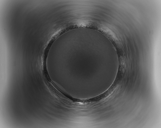 X0000093750496200710161200