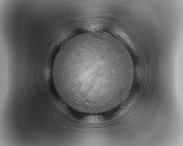 X0000093750499200710161200