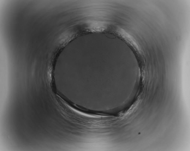 X0000093750501200710161200