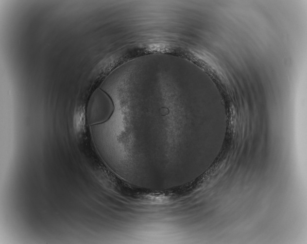 X0000093750502200710161200