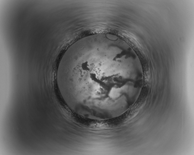 X0000093750503200710161200