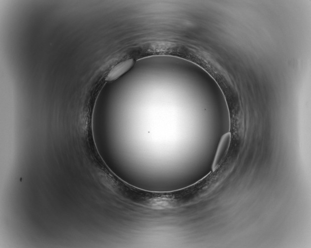 X0000093750505200710161200